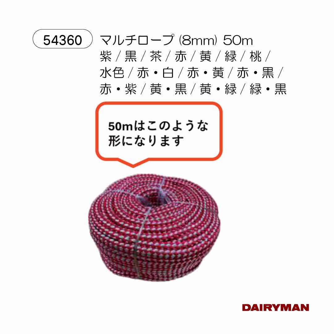 �Ƶ��� Ƭ���� �⥯���� �ޥ�������� 50m�� �� ������ ������ ���� �͵����� �ڤ� ����ե� �� ������ �⥯�� �⤯�� �꡼�� ���Ƥ� �⤬�� ������ ����