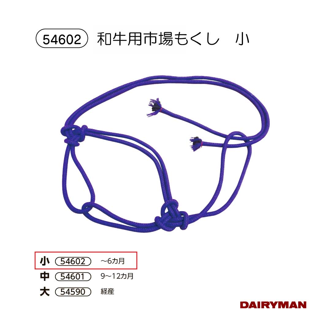 �ܻ��� �µ��� �⥯�����µ��ѻԾ�⥯�� �� �� �� �۶��ʲ� ���祦 ���硼 ������ �Ӵ��� �� Ӯ�� Ӯ�� ������ �Ҥ� ��ɳ �� ������ Ƭ�� ���� Ĵ�� ͶƳ ̵�� ��� ���� ���Ƥ�