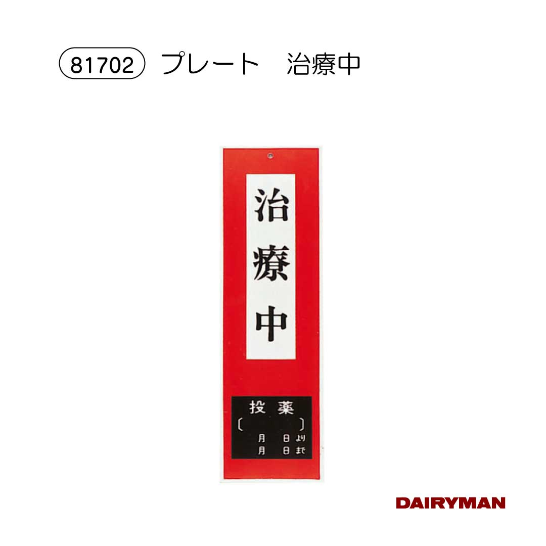 ������ �ܻ��� �ܼ��� ɸ���� �� ������ ��8cm��27.5cm �ܼ� ɸ���� ������ ���� �ץ졼��