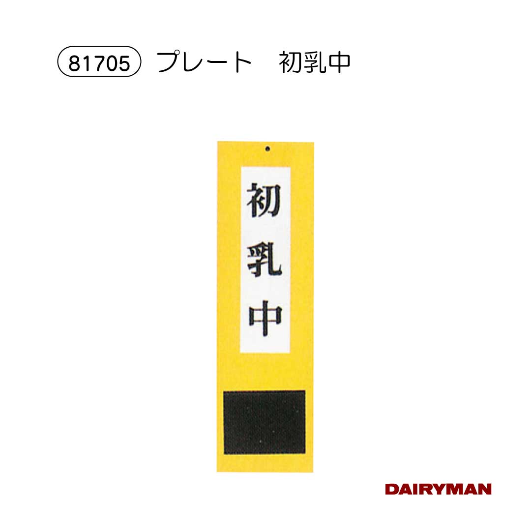 ������ �ܻ��� �ܼ��� ɸ���� �� ������ ��8cm��27.5cm �ܼ� ɸ���� ���� �ץ졼��