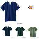 XNu fBbL[Y 7045SC Dickies jp Ô u|Xgv s