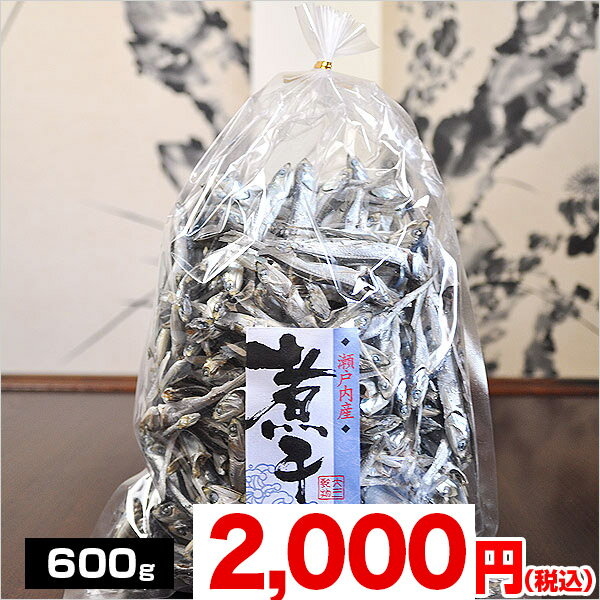 伊吹島産　煮干いりこ大羽　 600g【mb0812p10】