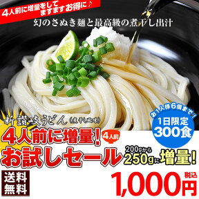 【4人前に増量!】【お試しセール価格】【1日限定300食】新讃岐うどん(煮干し風味)増量!お試し企画4人前