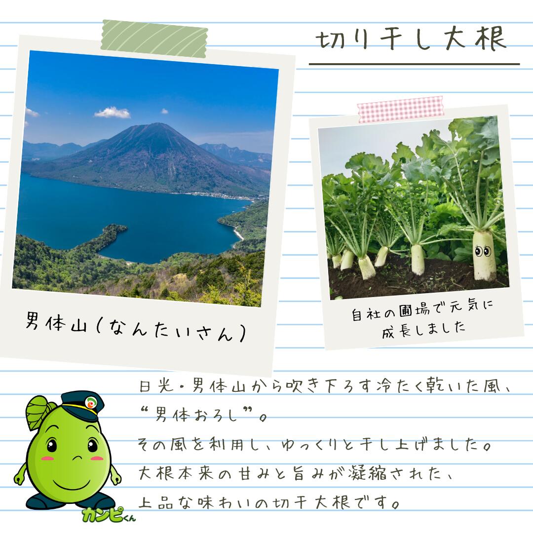 40g��10�ޡڿ�ʪ�������̡ߤ������񻺡�̵ź�� ŷ������ �ڴ��纬 ���ڸ��� ��¸����Ĳ��ˡ�