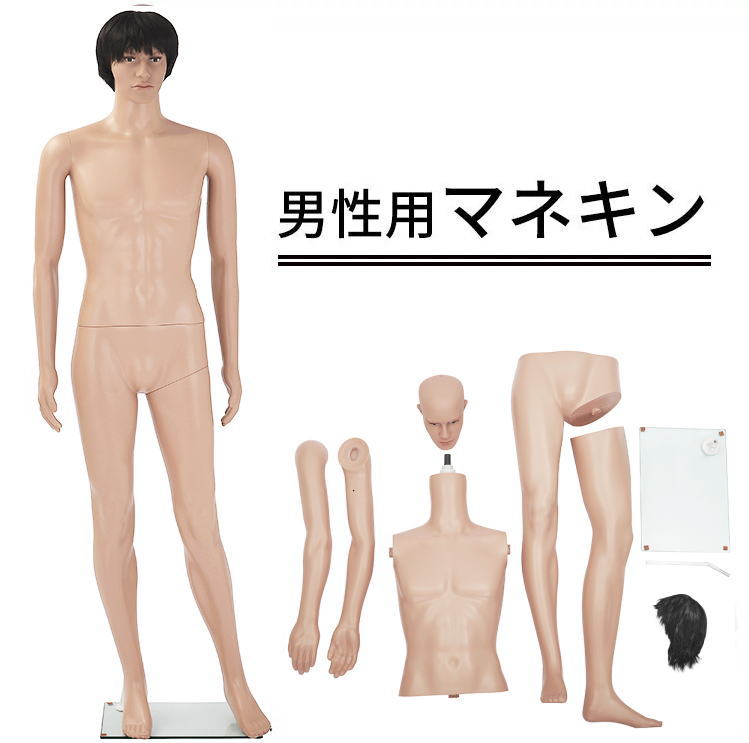 送料無料 男性用マネキンGM-2等身大186cm全身マネキン[MK-3656]