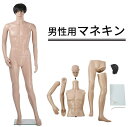 男性用マネキンGM-1送料無料 マネキン 全身 男性 / トルソー 人形 170以上 180 185 スタンド アパレル ポーズ イベント メンズ 男 おとこ 大きい 等身大 腕付き プラスチック スキンカラー 肌色 おしゃれ ファッション