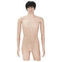 ひざ上トルソー メンズ 高さ115cm 【Y体】 B98×W76×H94cm 男性用 上半身 マネキン プラスチック製 店舗 ディスプレイ MK-9504 顔あ...