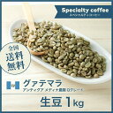 コーヒー生豆 1kg グァテマラ アンティグア メディナ農園 Qグレード  送料無料 大山珈琲 グアテマラ ガテマラ