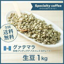 コーヒー生豆 1kg グァテマラ SHB アンティグア パストレス Qグレード  送料無料 大山珈琲 グアテマラ ガテマラ