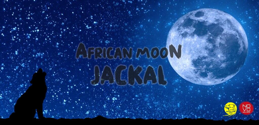  ! 2kg EK_ AFRICAN MOON JACKAL EF] 2022NNbv [Iׂx] R[q[  R Ɩp   