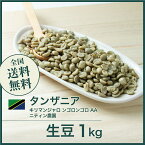 コーヒー生豆 1kg キリマンジャロ ンゴロンゴロ AA 送料無料 大山珈琲