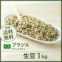 コーヒー生豆 1kg ブラジル カフェドルチェ 送料無料 大山珈琲