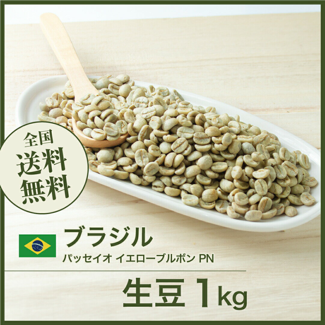 コーヒー生豆 1kg ブラジル パッセイオ イエローブルボン PN 送料無料 大山珈琲