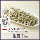 コーヒー生豆 1kg インドネシア バリ カラナクラフト イースト発酵 送料無料 大山珈琲