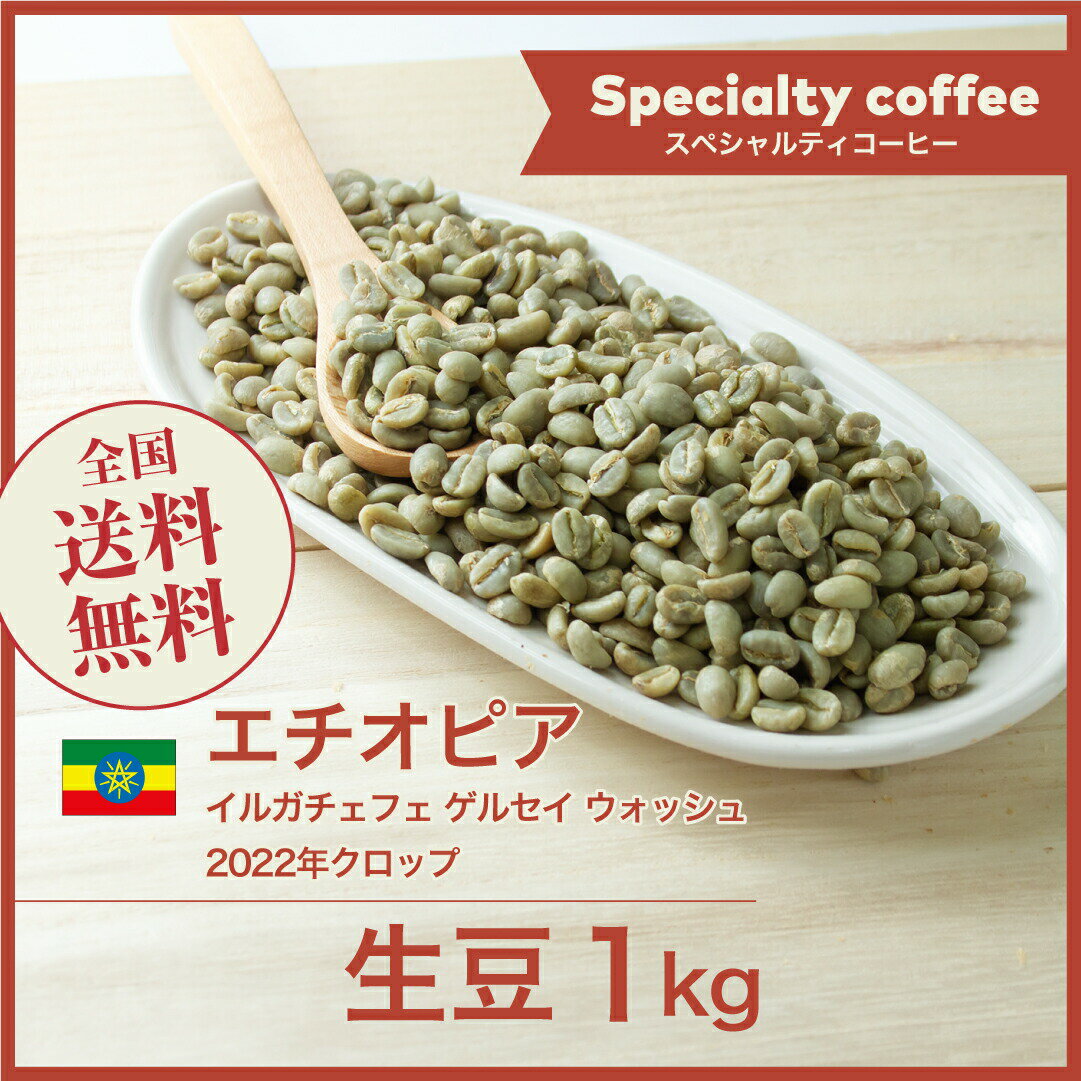 コーヒー生豆 1kg エチオピア イルガチェフェ ゲルセイ ウォッシュ 送料無料 大山珈琲