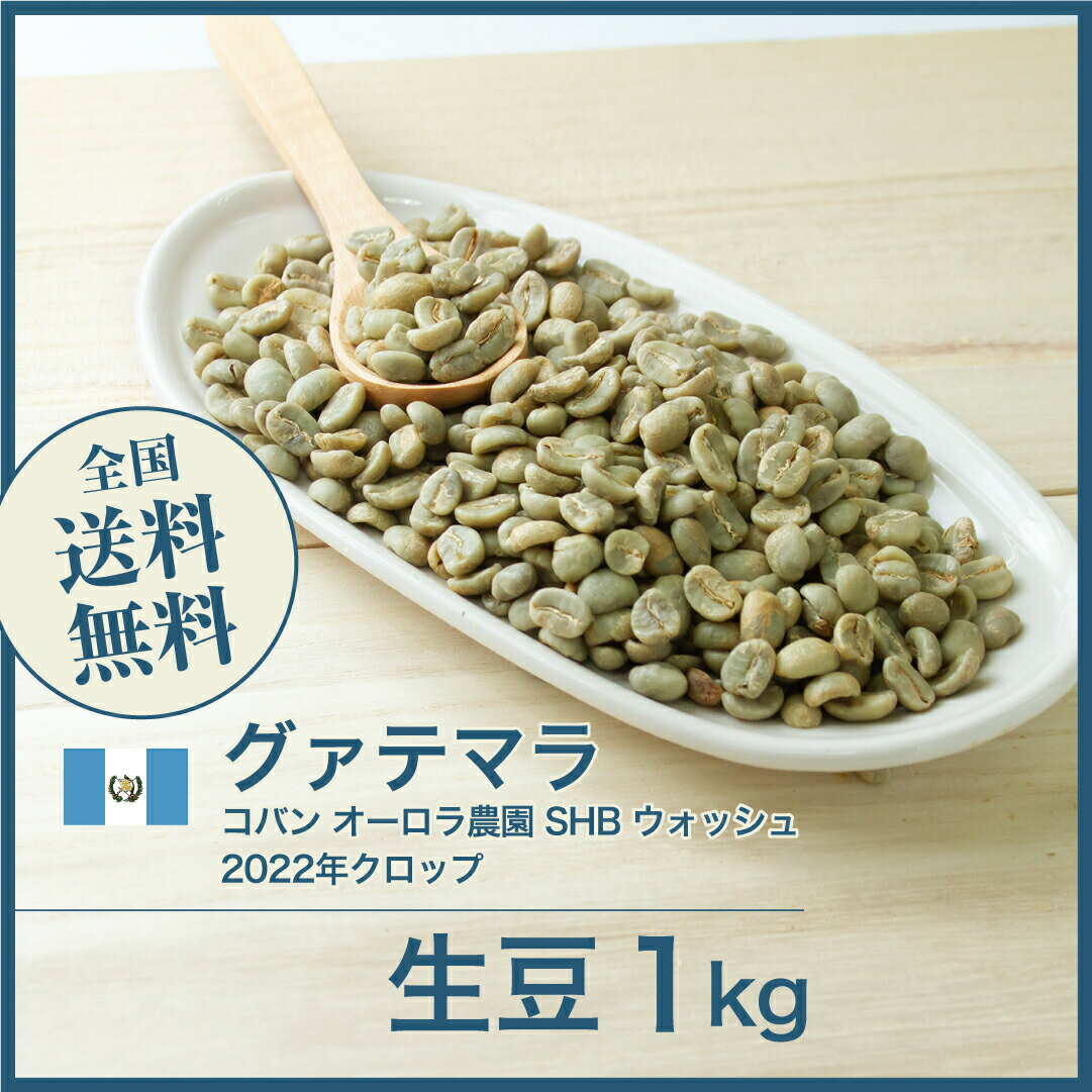 コーヒー 生豆 グアテマラ コバン オーロラ農園 SHB ウォッシュ 珈琲 スペシャルティ 送料無料1kg 2kg 5kg 10kg