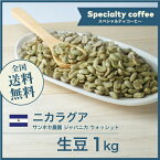 コーヒー生豆 1kg ニカラグア サンホセ農園 ジャバニカ ウォッシュド 送料無料 大山珈琲