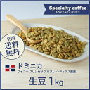 コーヒー生豆 1kg ドミニカ共和国 ワイニー プリンセサ アルフレド・ディアス農園 送料無料 大山珈琲