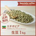コーヒー 生豆 エチオピア イルガチェフェ イディド ウォッシュ 珈琲 スペシャルティ 送料無料【DRIP TRIP】1kg 2kg 5kg 10kg