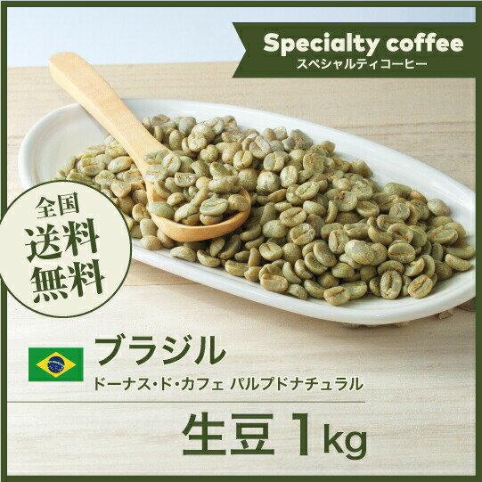 コーヒー生豆 1kg ブラジル ドーナス・ド・カフェ パルプドナチュラル 送料無料 大山珈琲
