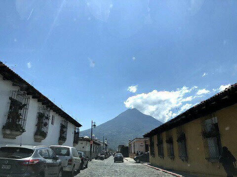 コーヒー 生豆 グアテマラ アンティグア ピーベリー 珈琲 スペシャルティ 送料無料【DRIP TRIP】1kg 2kg 5kg 10kg #265