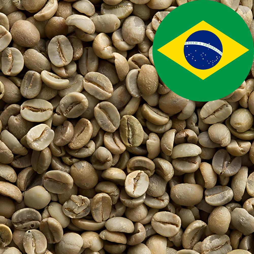 楽天市場】コーヒー 生豆 10kgの通販 楽天市場】コーヒー 生豆 10kgの通販