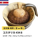 コーヒー豆 コスタリカ ビスタ・アル・バジェ フィデル レッドハニー 受注焙煎 選べる焙煎度合い 珈琲 珈琲豆 コーヒー スペシャルティコーヒー 粉 【DRIP TRIP】 送料無料 400g 800g 1kg 2kg #348