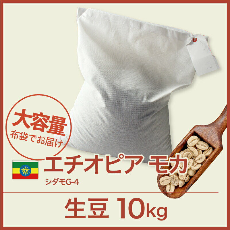 コーヒー生豆 10kg モカ シダモG4 エチオピア 送料無料 大山珈琲