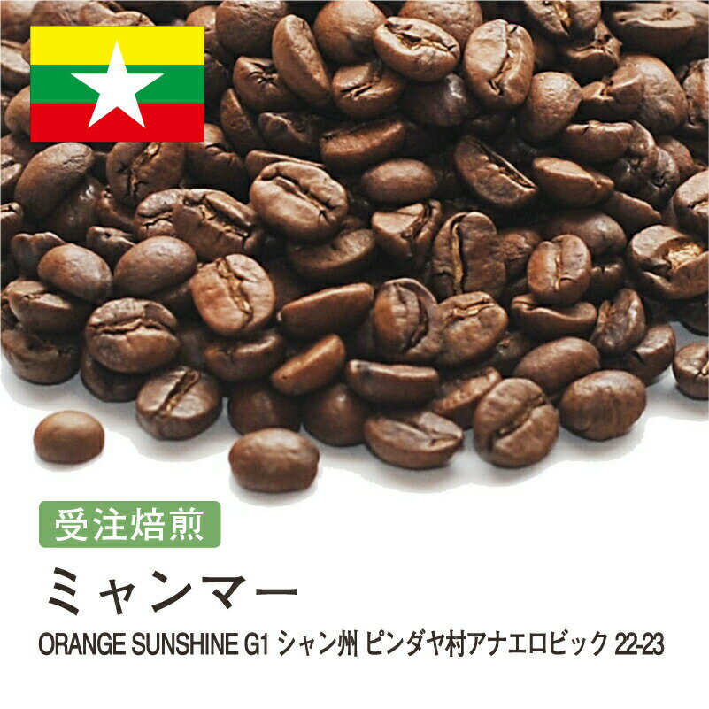 【DRIP TRIP】コーヒー豆 ミャンマー ORANGE SUNSHINEG1 シャン州 ピンダヤ村アナエロビック 受注焙煎 選べる焙煎度合い 珈琲 珈琲豆 コーヒー スペシャルティコーヒー 粉 送料無料 400g 800g 1kg 2kg