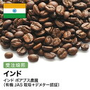 楽天コーヒー＆石窯パン専門店ガウディ受注焙煎！400g インド ポアブス農園（有機JAS栽培＋デメター認証） [選べる焙煎度合い] 送料無料 大山珈琲 珈琲 珈琲豆 コーヒー コーヒー豆 スペシャルティコーヒー プレミアムコーヒー 粉 お試し