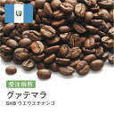 【DRIP TRIP】グァテマラ SHB ウエウエテナンゴ コーヒー豆 受注焙煎 選べる焙煎度合い 送料無料 大山珈琲 珈琲 珈琲豆 コーヒー コーヒー豆 スペシャルティコーヒー 粉 400g 800g 1kg 2kg