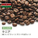 ケニア AB トップ クィーン アリーヤ Qグレード コーヒー豆 受注焙煎 選べる焙煎度合い 送料無料 珈琲 珈琲豆 コーヒー スペシャルティコーヒー 粉 400g 800g 1kg 2kg