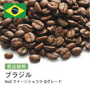 【DRIP TRIP】ブラジル No2 クイーンショコラ Qグレード コーヒー豆 受注焙煎 選べる焙煎度合い 送料無料 珈琲 珈琲豆 コーヒー スペシャルティコーヒー 粉 400g 800g 1kg 2kg