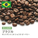 【DRIP TRIP】ブラジル サントアントニオ ショコラ ピーベリー コーヒー豆 受注焙煎 選べる焙煎度合い 送料無料 珈琲 珈琲豆 コーヒー スペシャルティコーヒー 粉 400g 800g 1kg 2kg