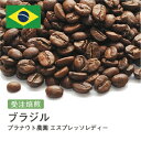 受注焙煎！400g ブラジル プラナウト農園 エスプレッソレディー [選べる焙煎度合い] 送料無料 大山珈琲 珈琲 珈琲豆 コーヒー コーヒー豆 スペシャルティコーヒー プレミアムコーヒー 粉 お試し