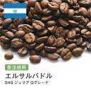 受注焙煎 400g エルサルバドルSHG ジュリア Qグレード 選べる焙煎度合い 送料無料 大山珈琲 珈琲 珈琲豆 コーヒー コーヒー豆 スペシャルティコーヒー プレミアムコーヒー 粉 お試し