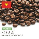 ルビーマウンテン （ベトナム アラビカ） コーヒー豆 受注焙煎 選べる焙煎度合い 送料無料 珈琲 珈琲豆 コーヒー スペシャルティコーヒー 粉 400g 800g 1kg 2kg