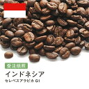 コーヒー豆 インドネシア セレベスアラビカ G1 受注焙煎 選べる焙煎度合い 送料無料 珈琲 珈琲豆 コーヒー スペシャルティコーヒー 粉 400g 800g 1kg 2kg【DRIP TRIP】(4)