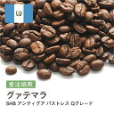 グァテマラ SHB アンティグア パストレス Qグレード コーヒー豆 受注焙煎 選べる焙煎度合い 送料無料 珈琲 珈琲豆 コーヒー スペシャルティコーヒー 粉 400g 800g 1kg 2kg