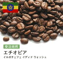 コーヒー豆 エチオピア イルガチェフェ イディド ウォッシュ 受注焙煎 選べる焙煎度合い 珈琲 珈琲豆 コーヒー スペシャルティコーヒー 粉 送料無料 400g 800g 1kg 2kg【DRIP TRIP】 コーヒー粉