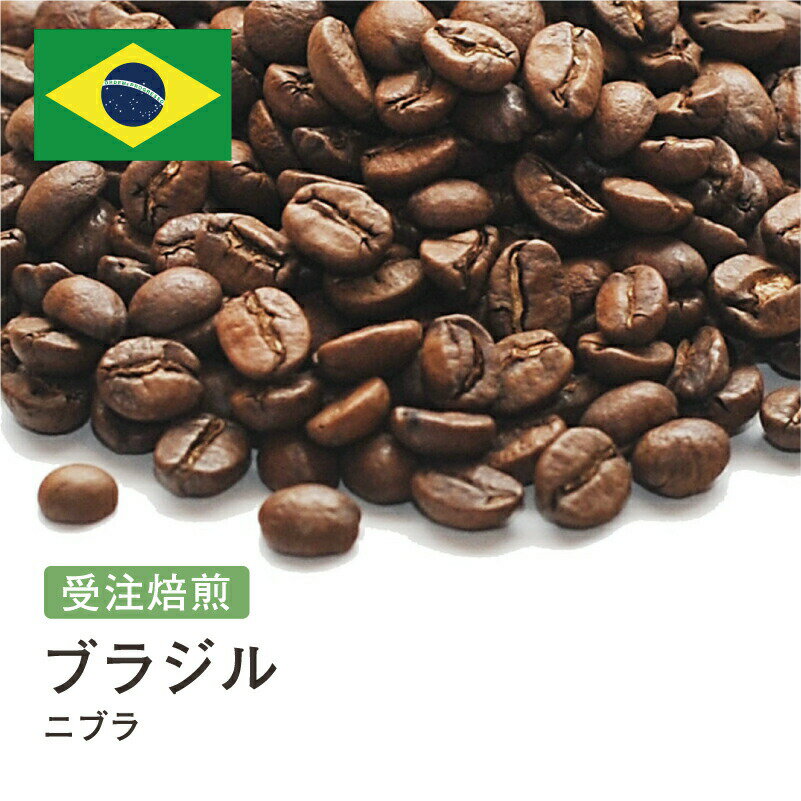 SS対象！受注焙煎！400g ブラジル サントス ニブラ 2022年クロップ 送料無料 大山珈琲 珈琲 珈琲豆 コーヒー コーヒー豆 スペシャルティコーヒー プレミアムコーヒー 粉 お試し