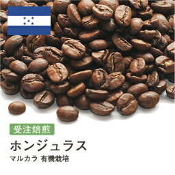 受注焙煎！400g ホンジュラス マルカラ 有機栽培 [選べる焙煎度合い] 送料無料 大山珈琲 珈琲 珈琲豆 コーヒー コーヒー豆 スペシャルティコーヒー プレミアムコーヒー 粉 お試し