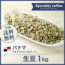 コーヒー生豆 1kg パナマ バルマウンテン Qグレード 送料無料 大山珈琲