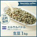 コーヒー生豆 1kg エルサルバドルSHG ジュリア Qグレード 送料無料 大山珈琲