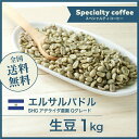 コーヒー生豆 1kg エルサルバドルSHG アデライダ農園 Qグレード 送料無料 大山珈琲