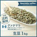 森のコーヒー（カフェーパウリスタ） コーヒー生豆 1kg グァテマラSHB カフェピューマ Qグレード（野生を育む森のコーヒー） 送料無料 大山珈琲 グアテマラ ガテマラ