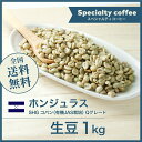 コーヒー生豆 1kg ホンジュラス SHG コパン （有機JAS栽培） Qグレード 送料無料 大山珈琲 数量「2」で2キロ注文も可