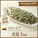 コーヒー生豆 1kg コロンビア スプレモ ナリーニョ Qグレード 送料無料 大山珈琲