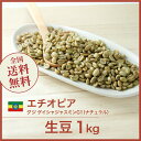 コーヒー生豆 1kg エチオピア ゲレナ農園 グジ ゲイシャジャスミンG1（ナチュラル） 送料無料 大山珈琲