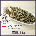 コーヒー生豆 1kg インドネシア アチェ ジャンボガヨ S19 送料無料 大山珈琲